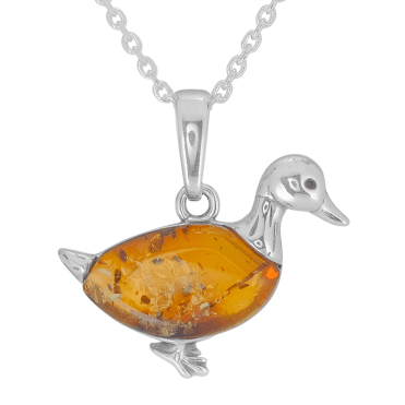 65 Million Years of Ducks Celebrated in Ancient Amber