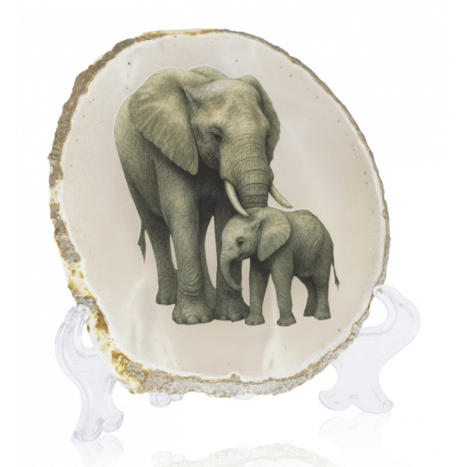 Agate Slice with Mother & Baby Elephant