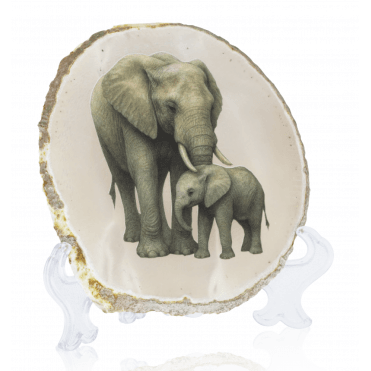 Agate Slice with Mother & Baby Elephant