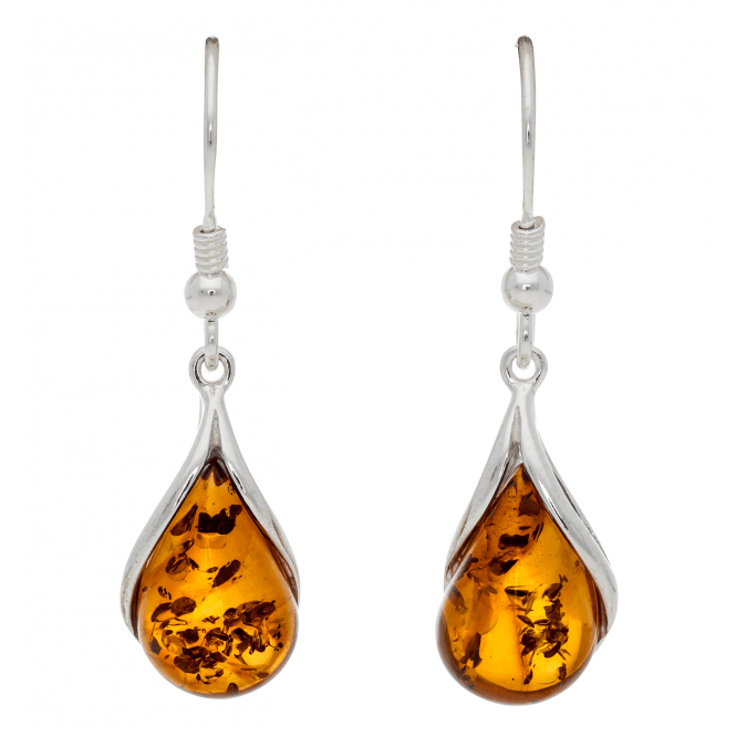 Baltic Amber Forest