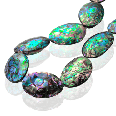 Graduated Paul Shell Beads