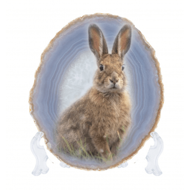 Hare Agate Slice