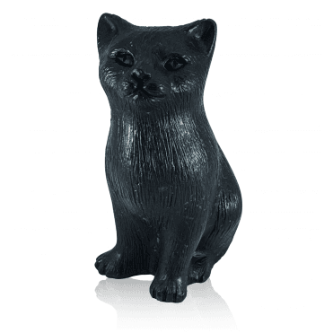 How to Own an Obsidian Cat