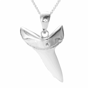 Ladies Shipton and Co Silver and Bone Pendant including a 16 Silver Chain TFE284BN