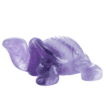 Shipton and Co One and a Half Inch Amethyst Turtle Carving CMH014AM