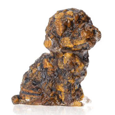Tiger Eye Companion
