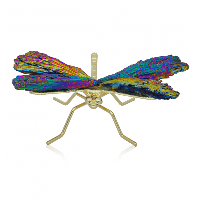 Tourmaline Winged Dragonfly