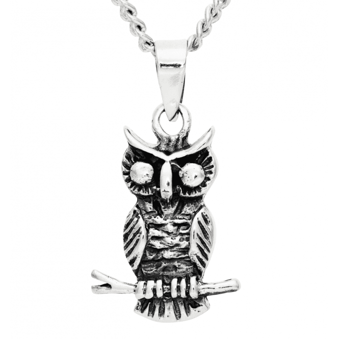 Wise Night Owl Sterling Silver Pendant