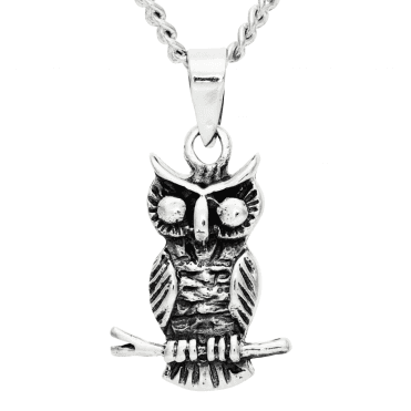 Wise Night Owl Sterling Silver Pendant