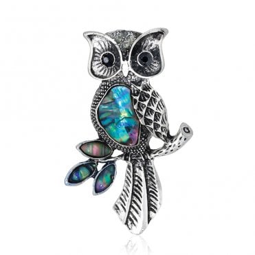 Wise Owl Paua Shell Brooch
